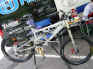 bwt022.jpg (72166 Byte)