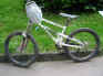 bwt023.jpg (74980 Byte)